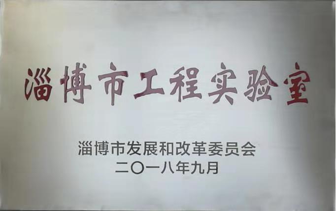 重山光電功能氟碳材料平臺被認(rèn)定為淄博市工程實(shí)驗(yàn)室