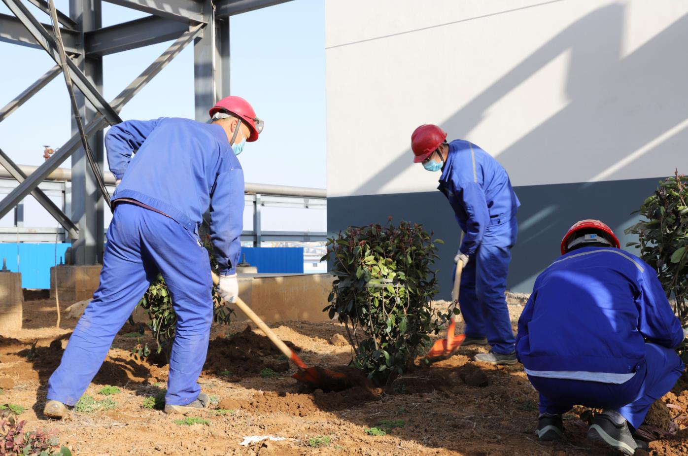 與綠色同行|公司組織員工開展植樹活動