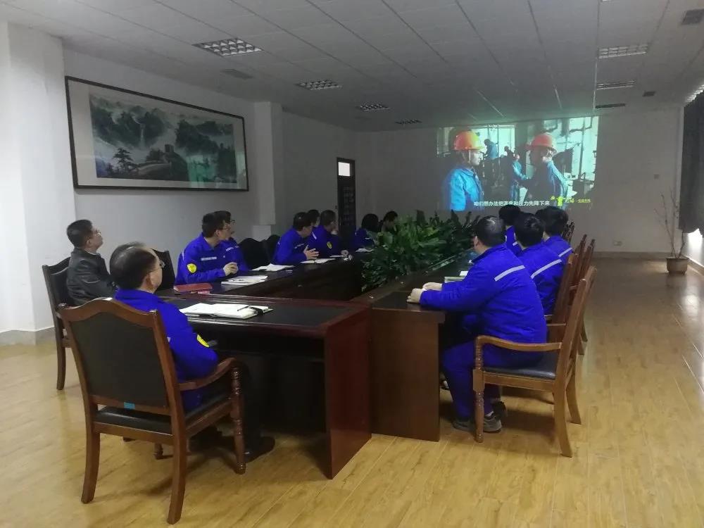 公司黨支部開展主題黨日活動