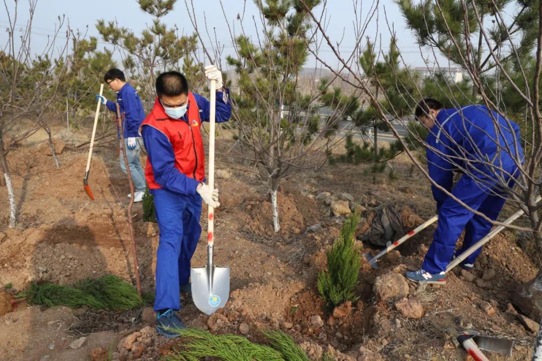 綠化重山|公司組織員工參加植樹活動(dòng)