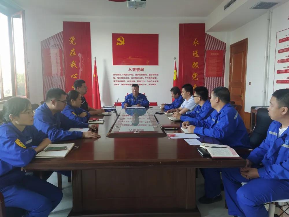 公司黨支部組織開展主題黨日活動