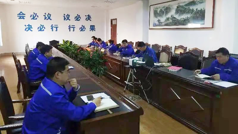 公司黨支部開展主題黨日活動