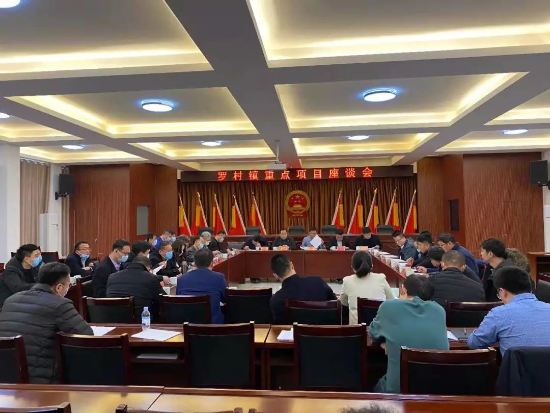 重山集團(tuán)董事長參加羅村鎮(zhèn)重點(diǎn)項目座談會69