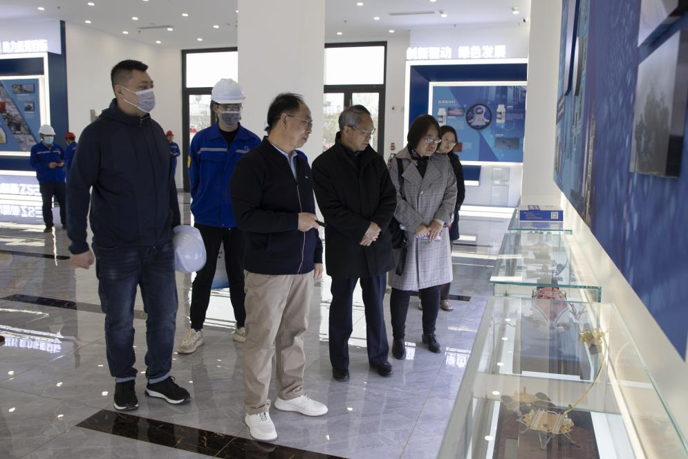 上海前沿新能源電源技術(shù)研究院湯衛(wèi)平院長一行蒞臨我公司參觀考察