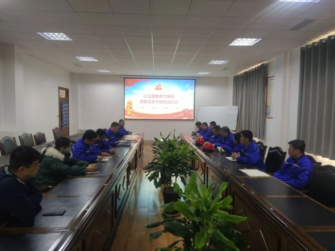 公司黨支部開展十一月份主題黨日活動