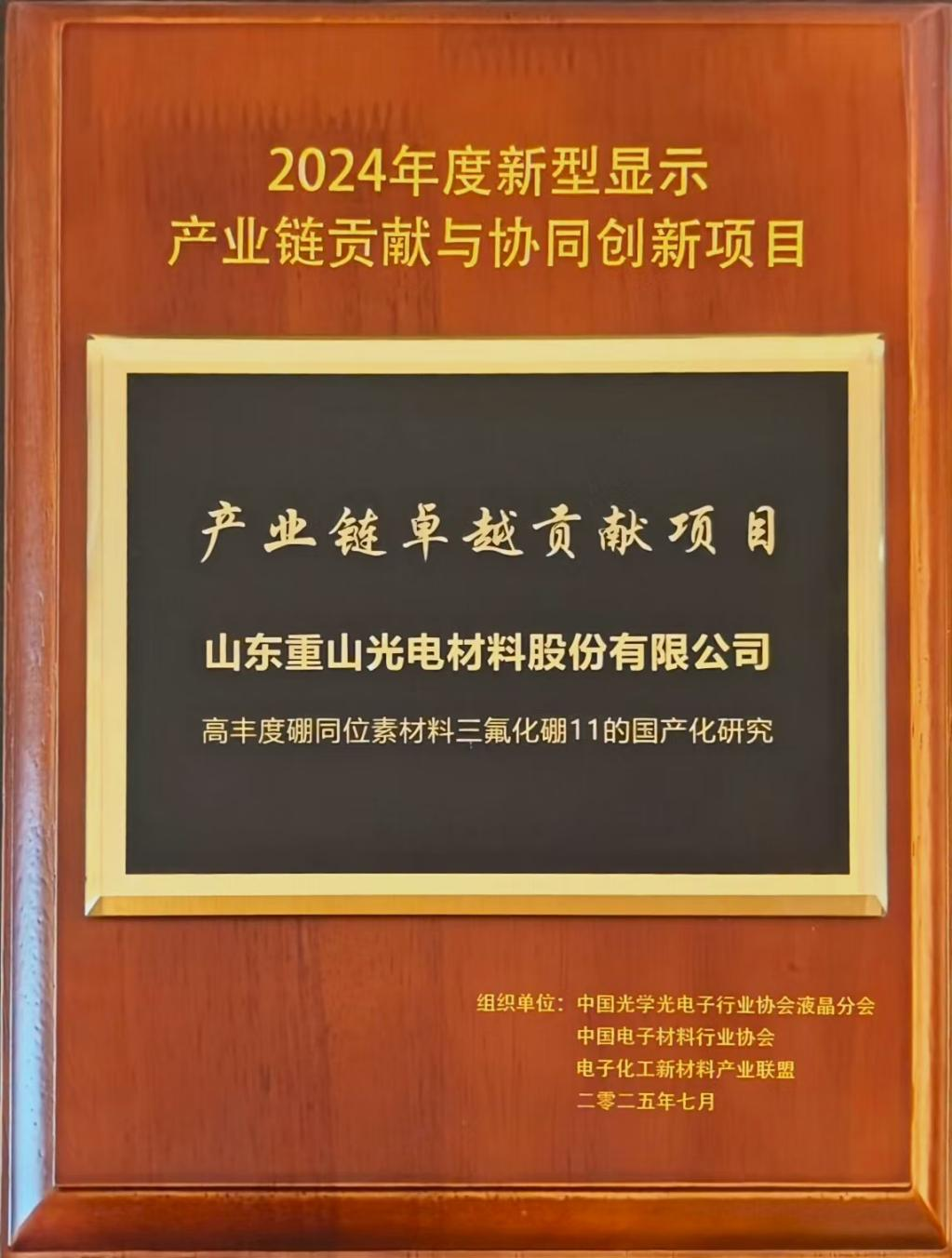 2024年度新型顯示產(chǎn)業(yè)鏈卓越貢獻(xiàn)與協(xié)同創(chuàng)新獎(jiǎng)