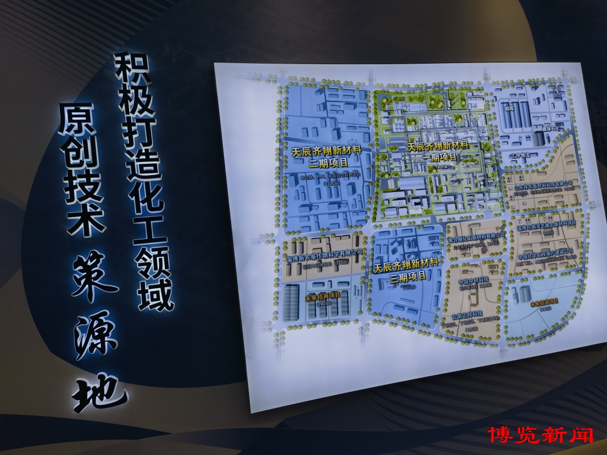 淄博精細(xì)化工如何變優(yōu)勢為勝勢？